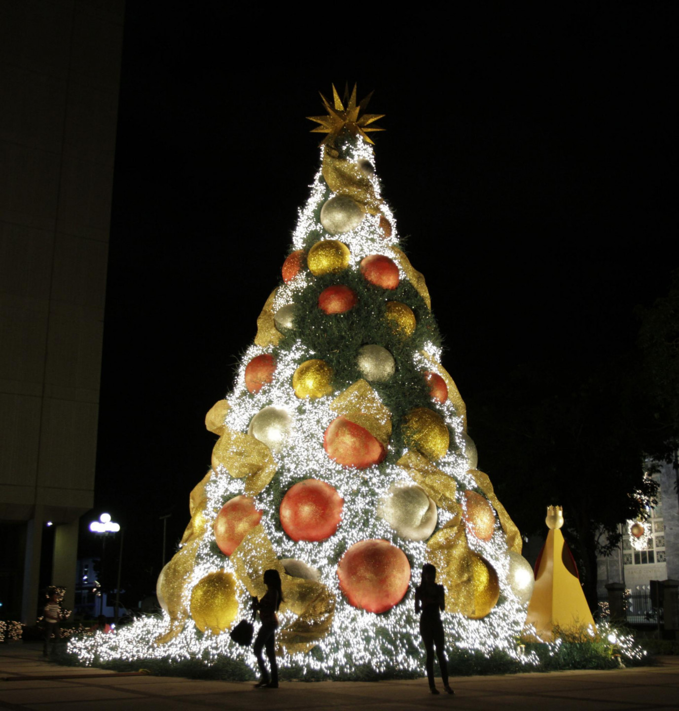 Ziemssvētku egle Dominikānas republikā
