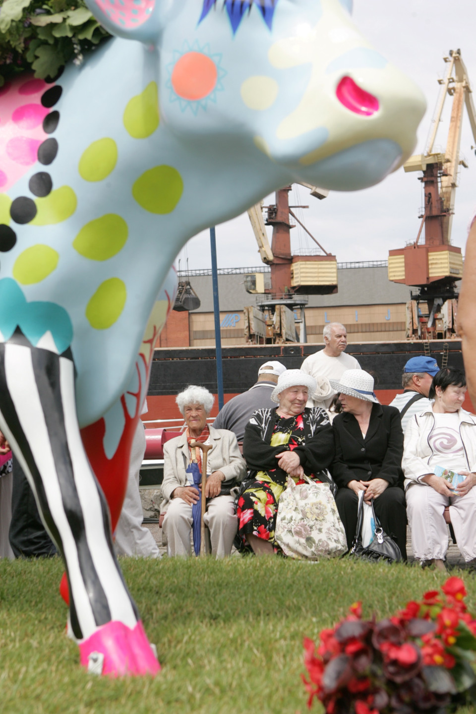 30.06.2012. Govju parādes "Ventspils 2012” atklāšanas pasākums .