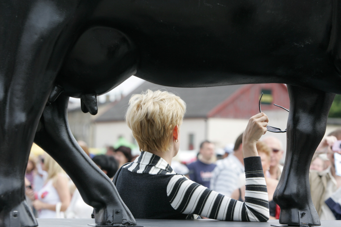 30.06.2012. Govju parādes "Ventspils 2012” atklāšanas pasākums .