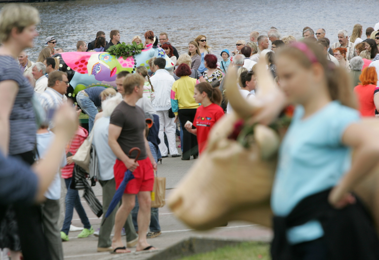 30.06.2012. Govju parādes "Ventspils 2012” atklāšanas pasākums .