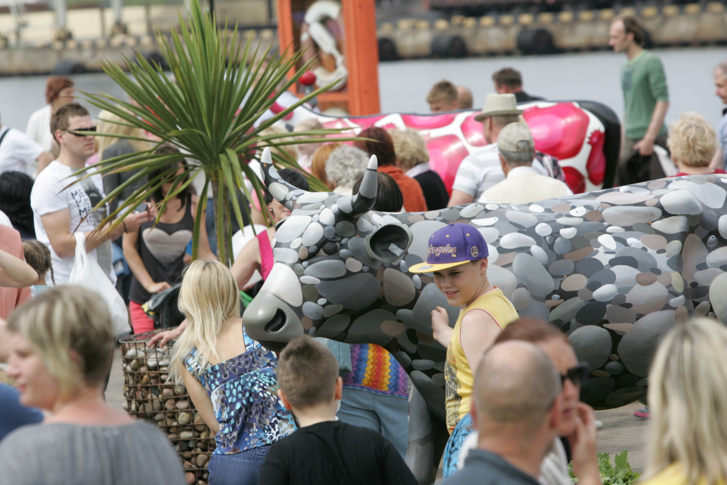 30.06.2012. Govju parādes "Ventspils 2012” atklāšanas pasākums .