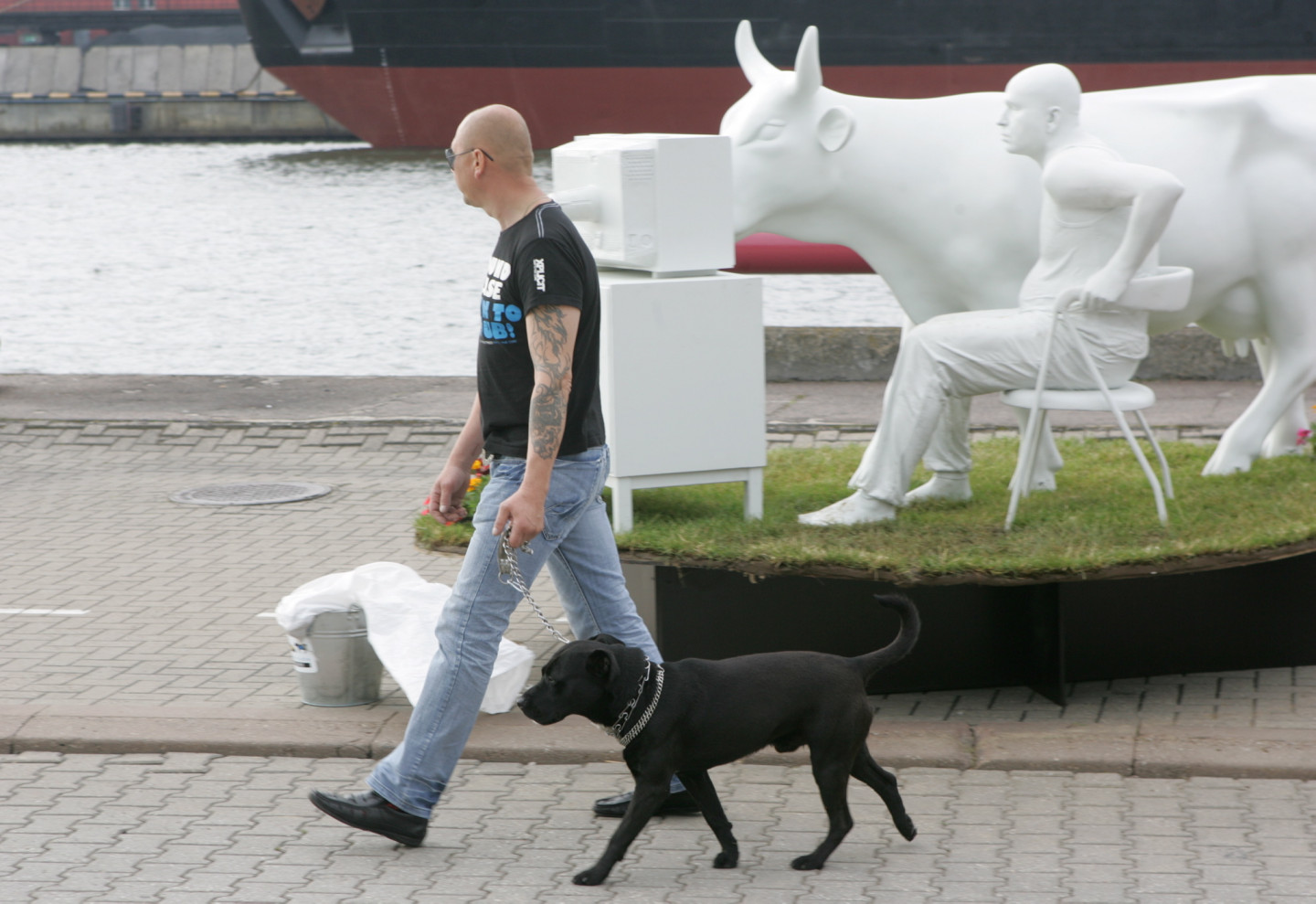 30.06.2012. Govju parādes "Ventspils 2012” atklāšanas pasākums .