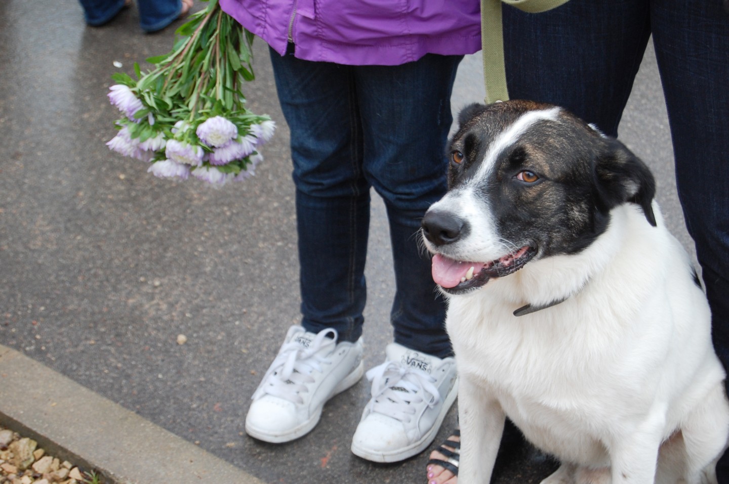 Atklās jaunuzcelto dzīvnieku patversmi „Labās mājas”