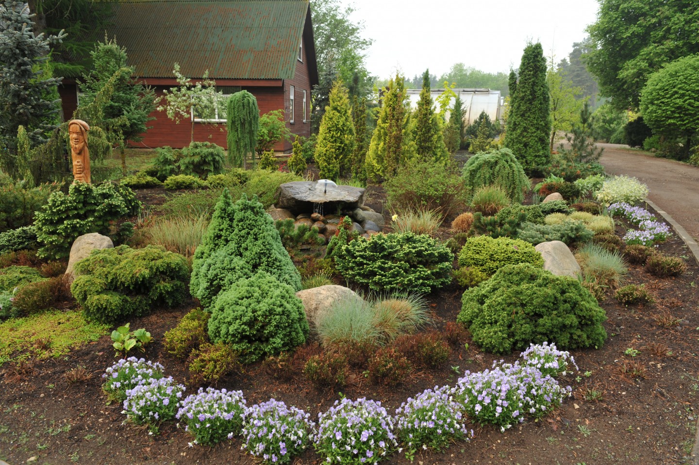 Japānas akcents Latvijas dārzā - nra.lv