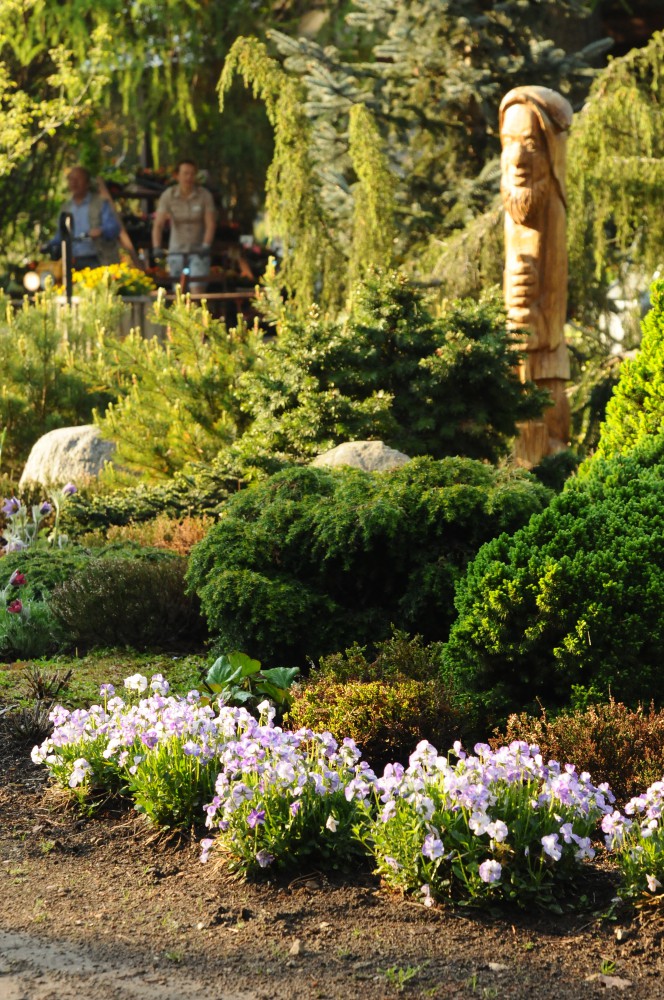 Japānas akcents Latvijas dārzā - nra.lv