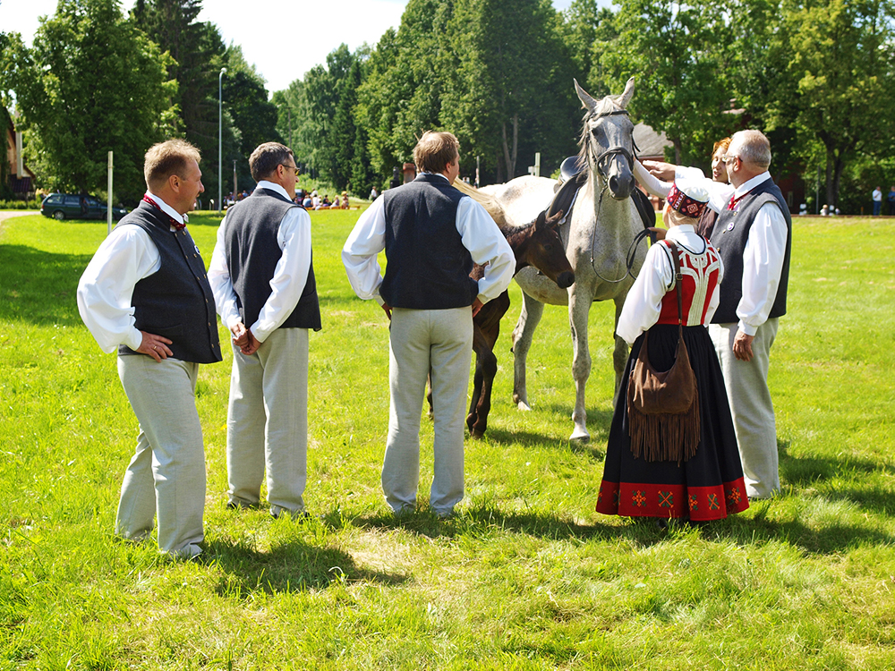 2013.06.15. VAS « Latvijas Dzelzceļš » ar unikālu pasākumu «Dziesmu un Deju svētku ekspresis» ieskandināja XXV Vispārējos latviešu dziesmu un XV Deju svētkus.