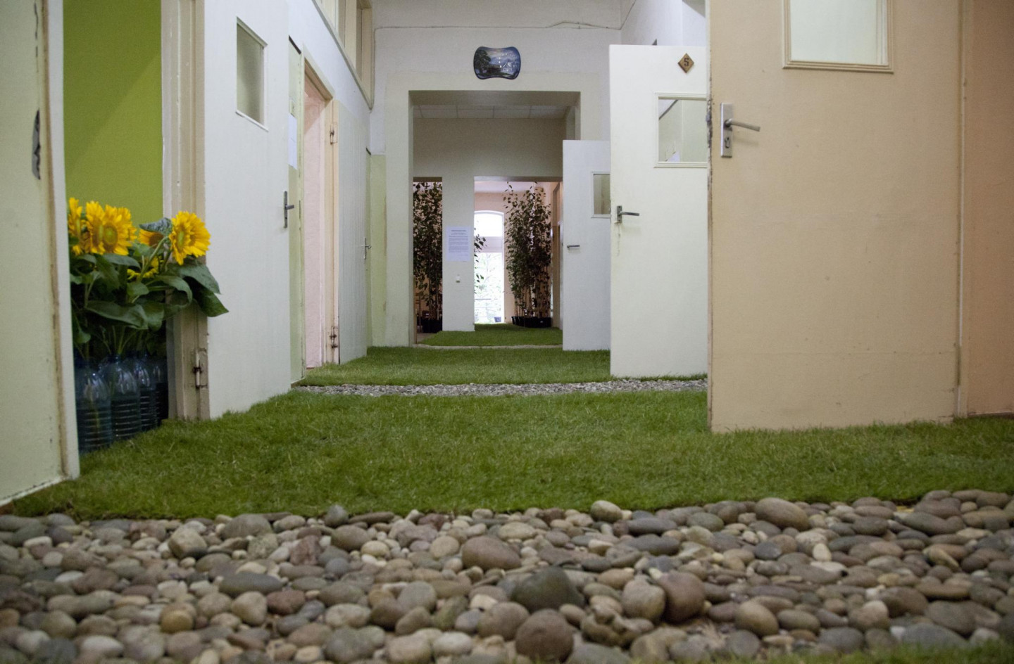 Rīgas psihiatrijas un narkoloģijas centrā atklāta izstāde "Urbānie pilsētstāsti. Sarkandaugava. Dārzs."