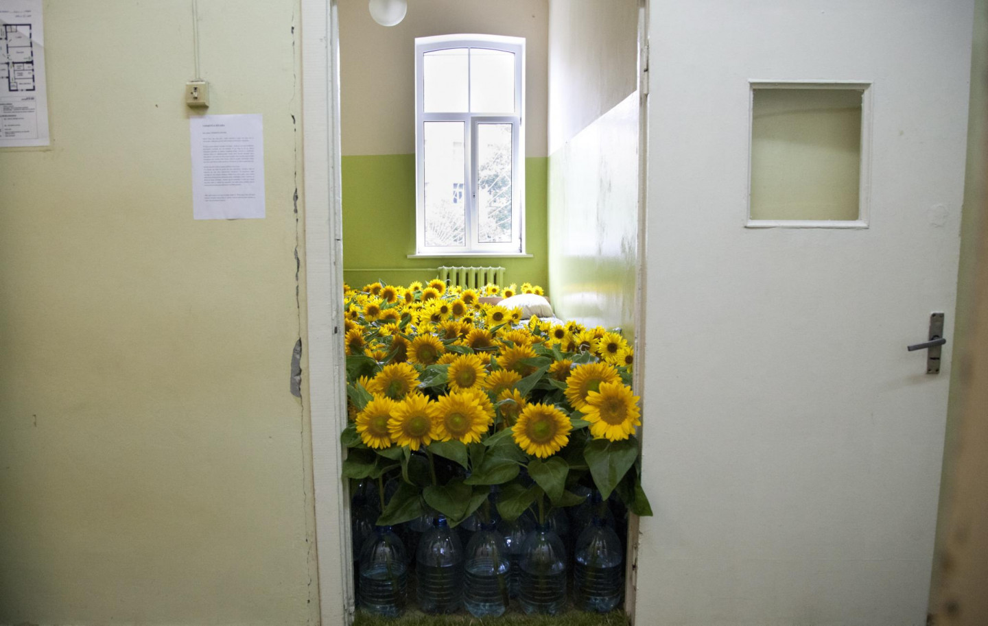 Rīgas psihiatrijas un narkoloģijas centrā atklāta izstāde "Urbānie pilsētstāsti. Sarkandaugava. Dārzs."