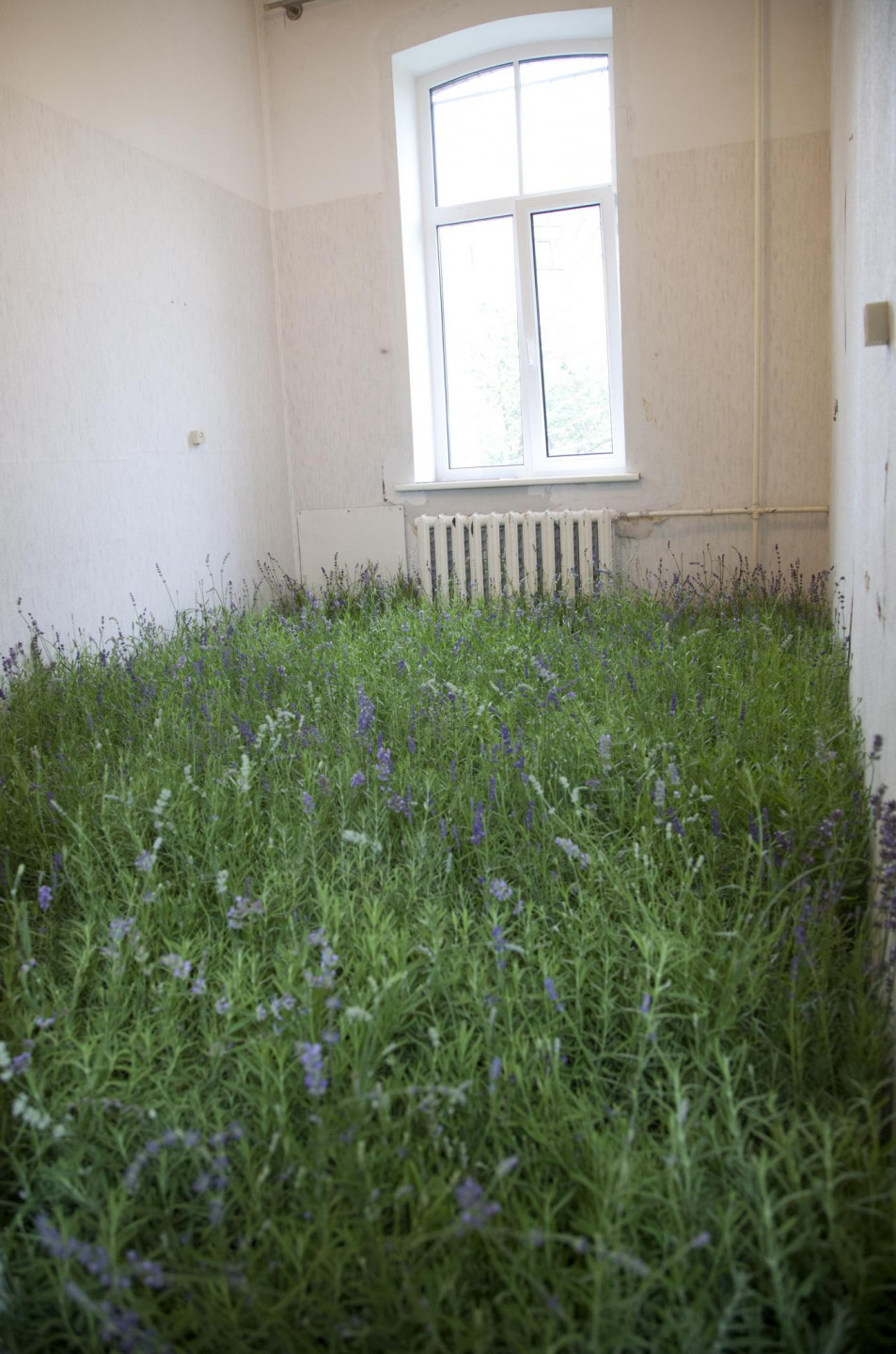 Rīgas psihiatrijas un narkoloģijas centrā atklāta izstāde "Urbānie pilsētstāsti. Sarkandaugava. Dārzs."