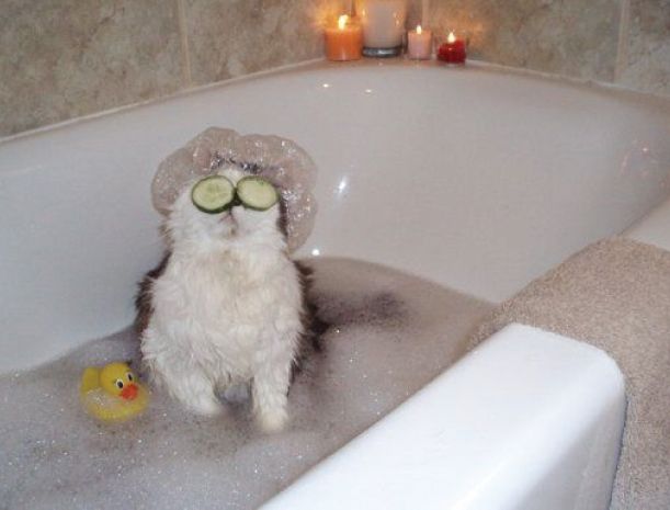 Vannošanās - realitāte