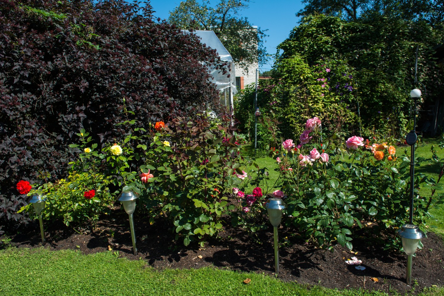 VAKARA ZIŅAS: Gunārs Placēns vēlas nodzīvot līdz pat 100 gadiem - nra.lv