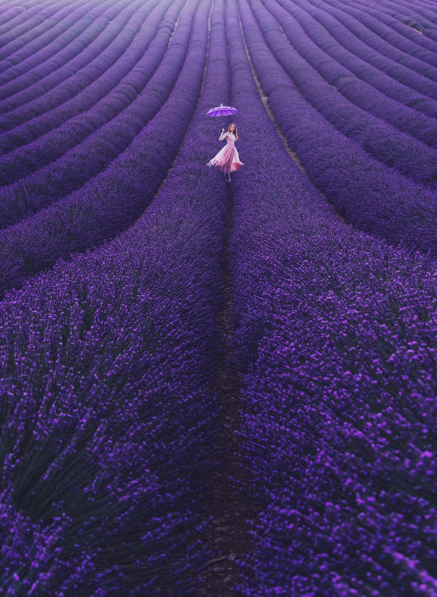 Lavandas lauks Valensolē, Francijā