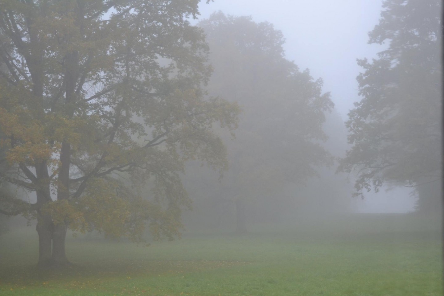 Stāmerienas pils parks