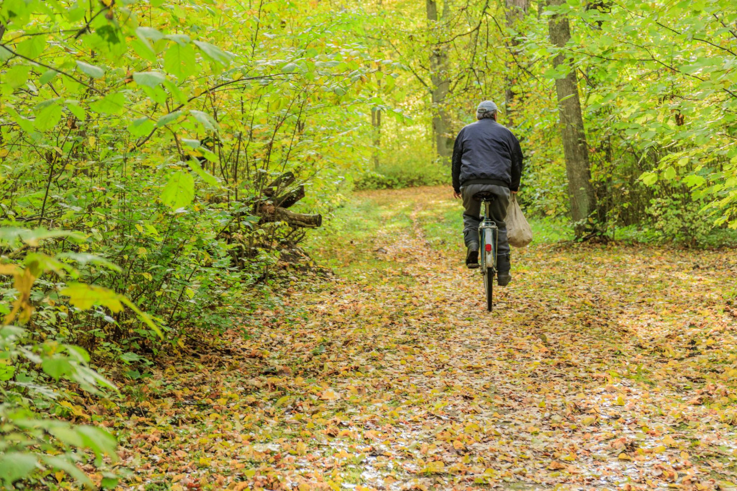 Lielezeres parks. Parks (24ha) atrodas pie Ezeres muižas, Latvijas-Lietuvas robežupes Vadakstes labajā krastā. Parks veidots 19.gs. vidū, tajā ir apmēram 36 svešzemju koku un krūmu stādījumi. Netālu no kādreizējā paviljona pamatiem atrodas priede ar 1.5 m lielu vēja slotu.