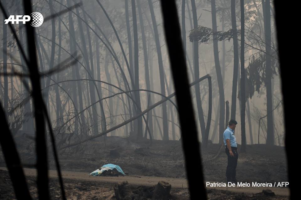Policists stāv pie meža ugunsgrēku upuru ķermeņiem Portugālē.