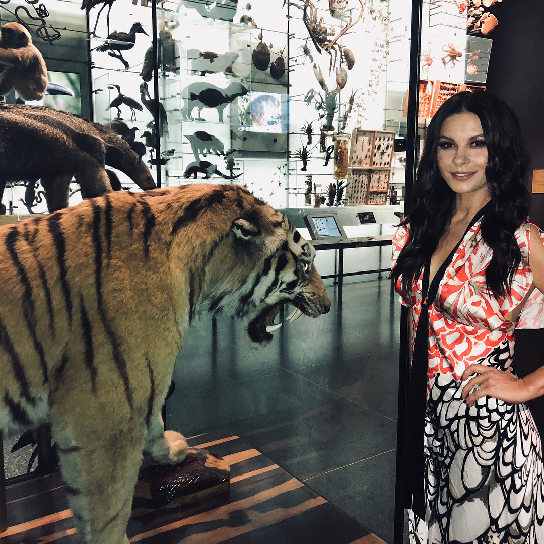 Ketrīna Zeta Džounsa