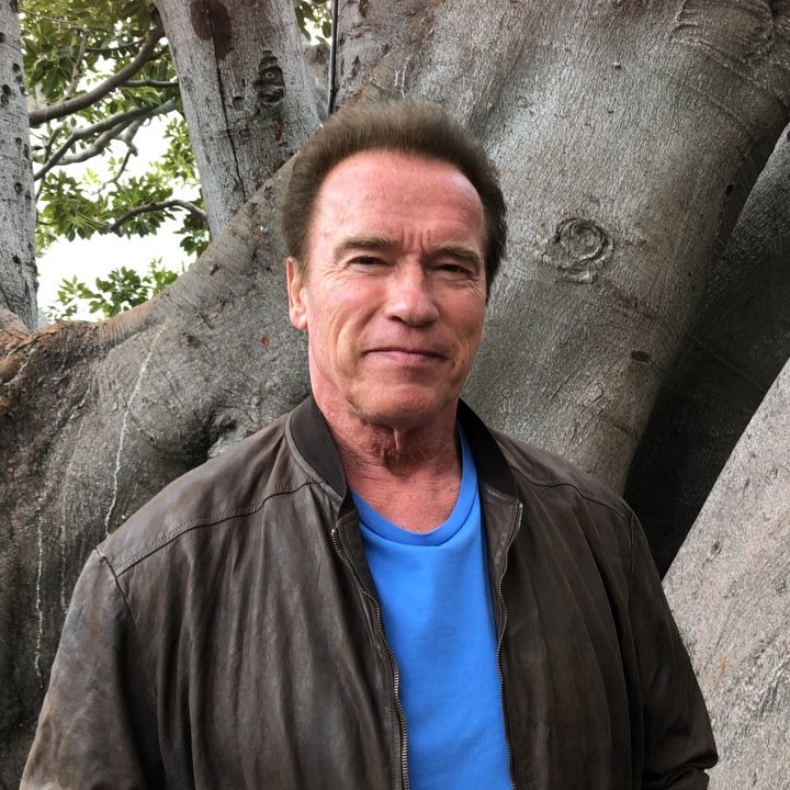 Arnolds Švarcenegers