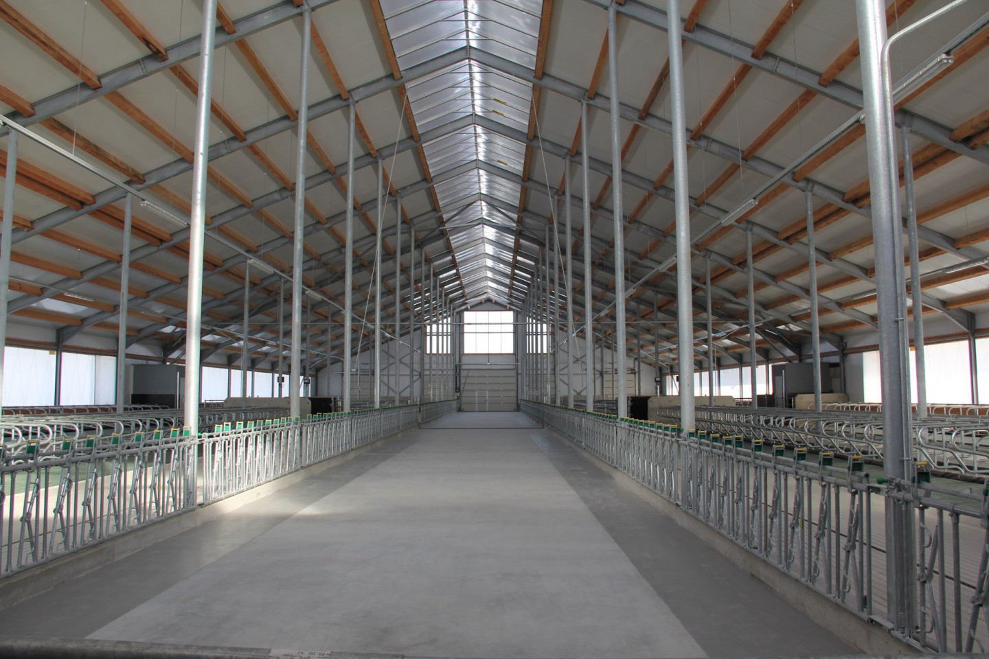 Ražošanas ēkas jaunbūve. "Jaunlopu kūtis "Tērces"". Adrese: “Tērces”, Tērvetes pagasts, Tērvetes novads