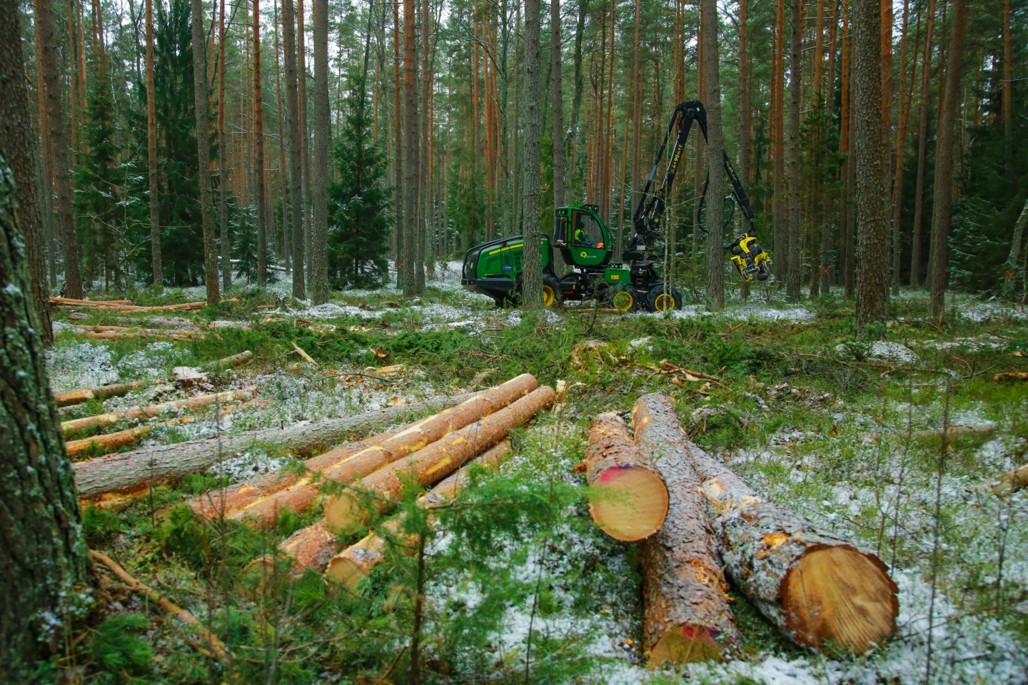 Skogeierbedrageri kommer frem i retten