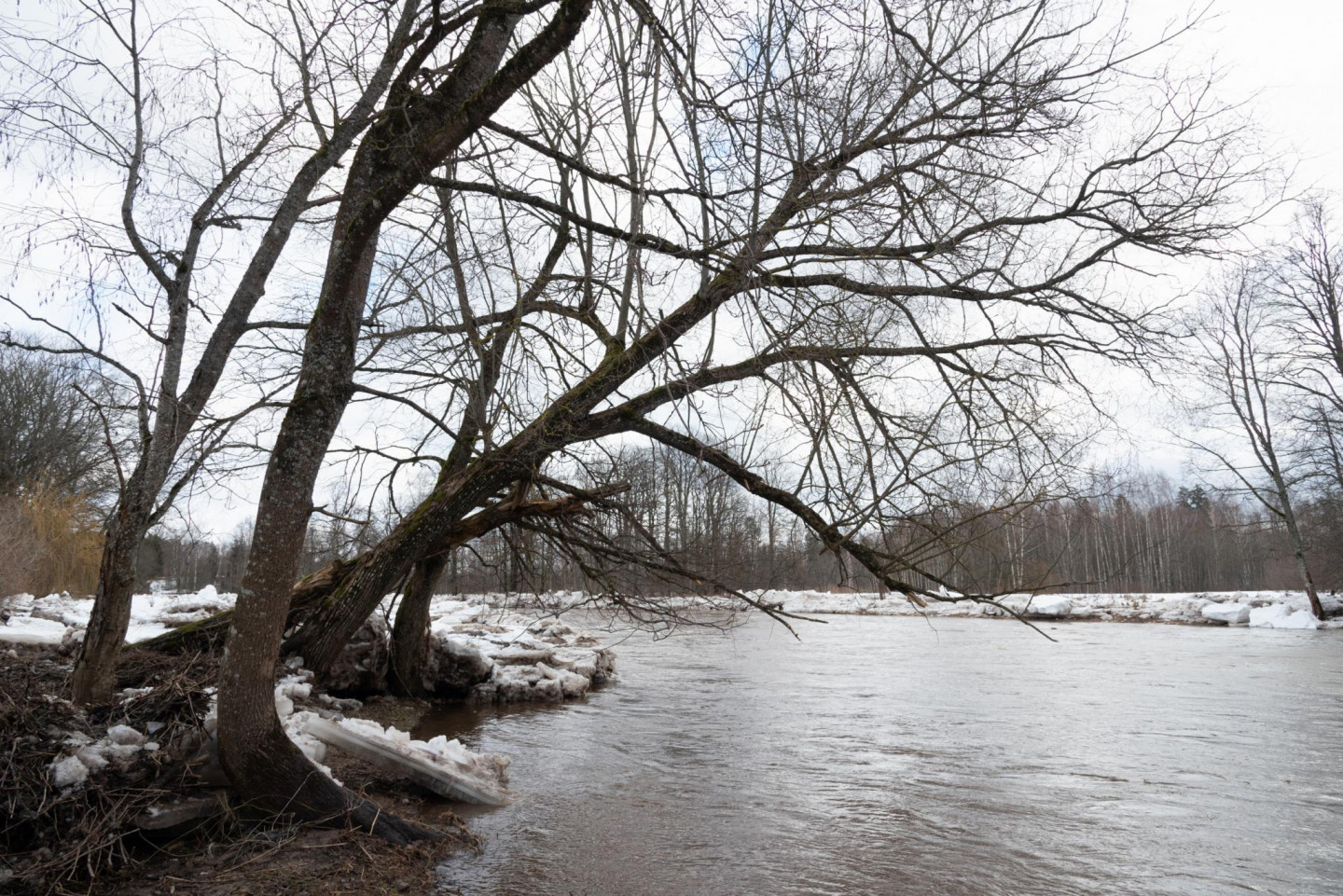 Vai janvāra sākumā Latvija iespējami plūdi? - nra.lv
