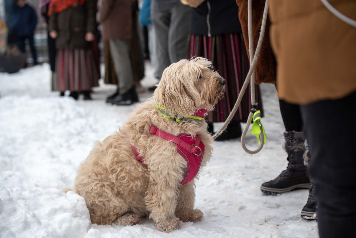 Meteņi Kultūras centrā "Iļģuciems"