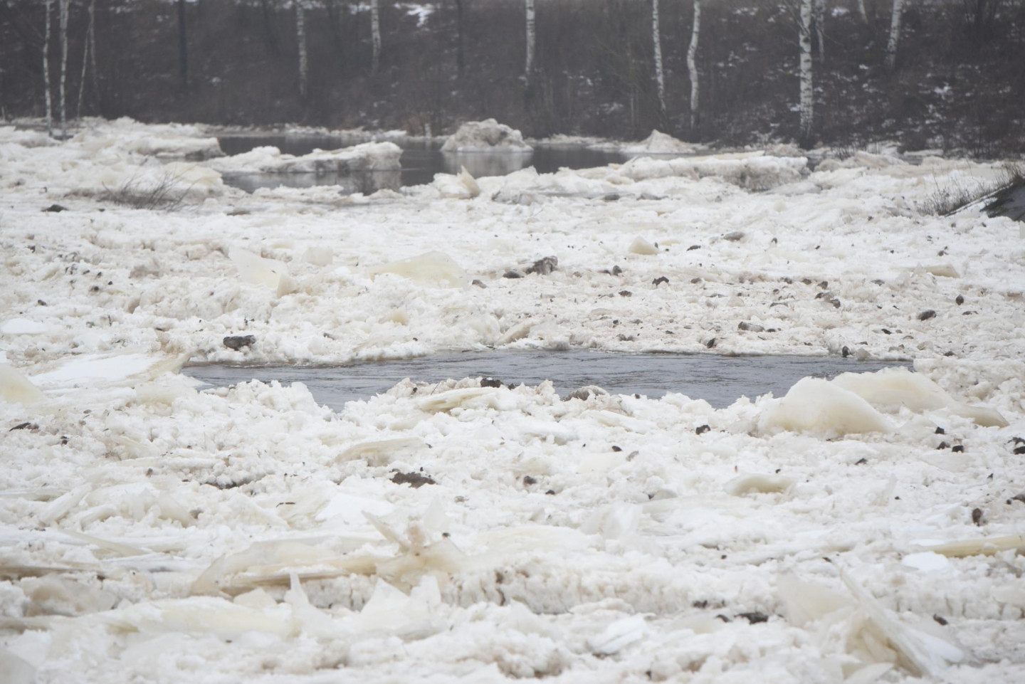 Plūdi Latvijā: kāds stāvoklis šobrīd ir Daugavas krastos? - nra.lv