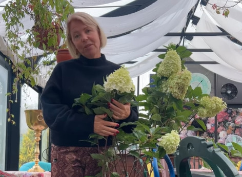 Hortenzijas, kas dārzam piešķirs akvareļu maigumu