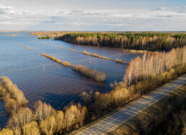 Tuvākajās dienās gaidāmi jau +12 grādi!