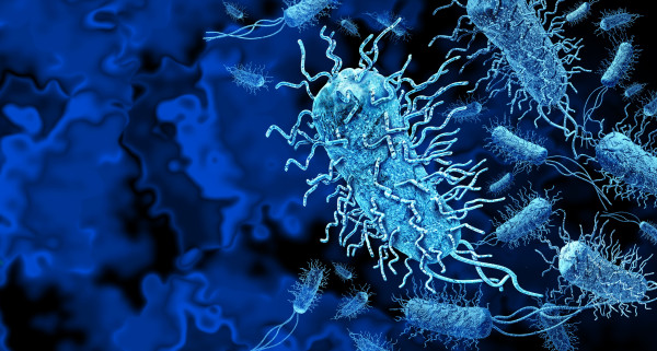 E.coli infekcijas uzliesmojums. Turpina pienākt sliktas ziņas