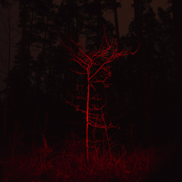 Recenzija: Pretplūsma – "Gauja"