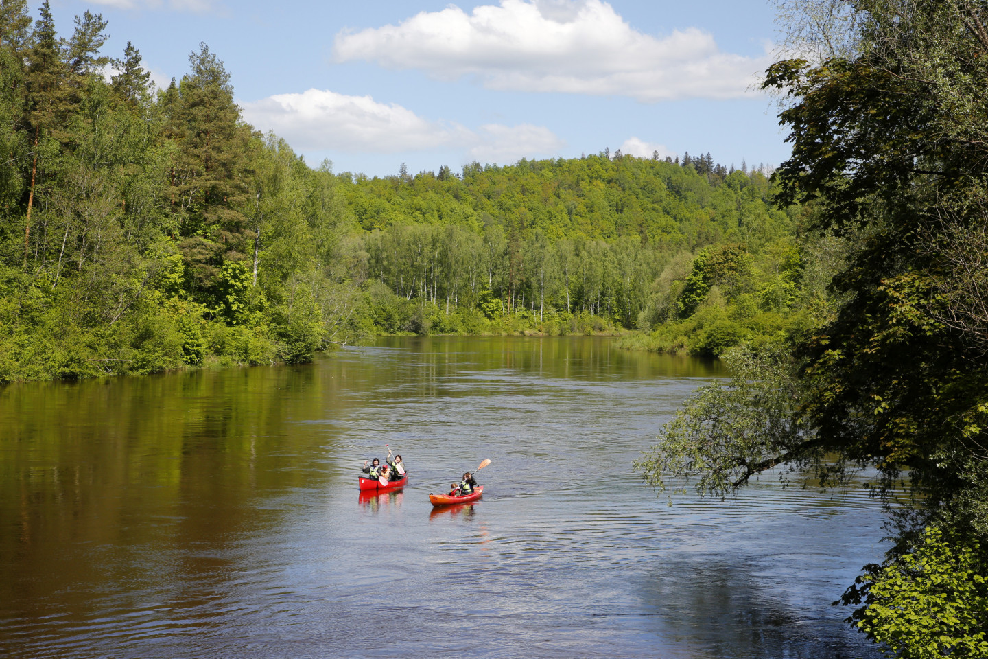 Gauja River Boat Capsizes: Man Drowns - VUGD Warning - News Directory 3