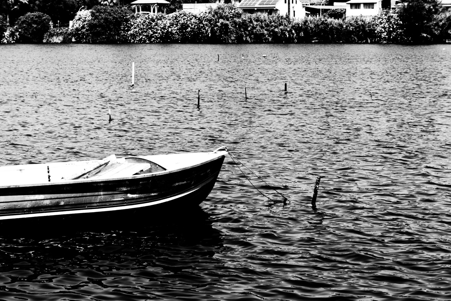 Missing Fisherman Found Dead Near Ventspils