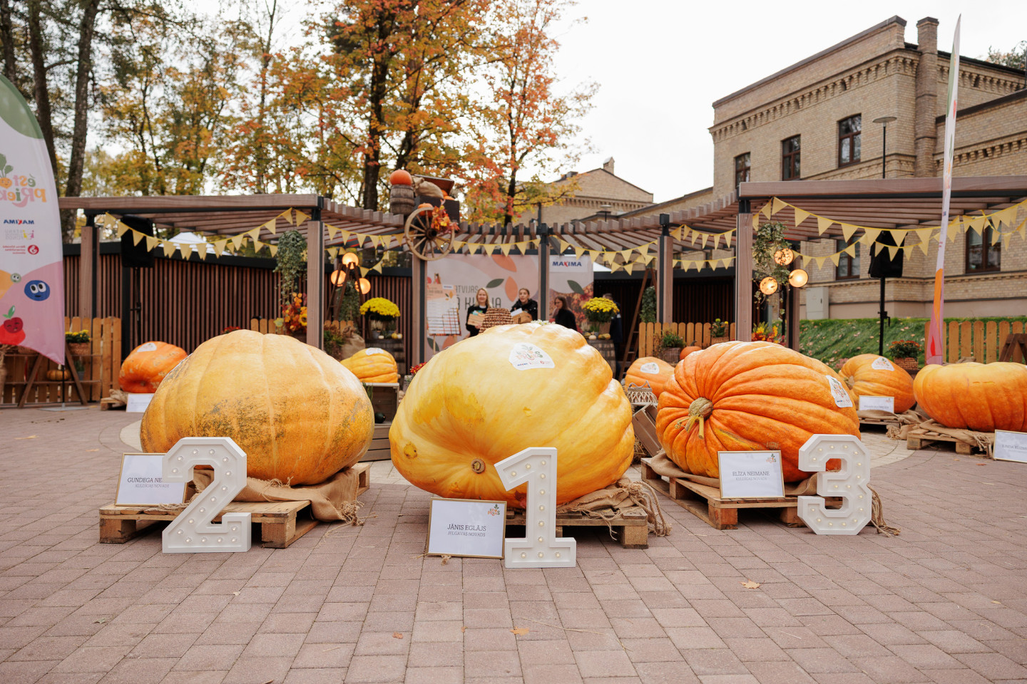 Noskaidrots 2026. gada ķirbju čempions – 355 kg smagais ķirbis no Jelgavas novada