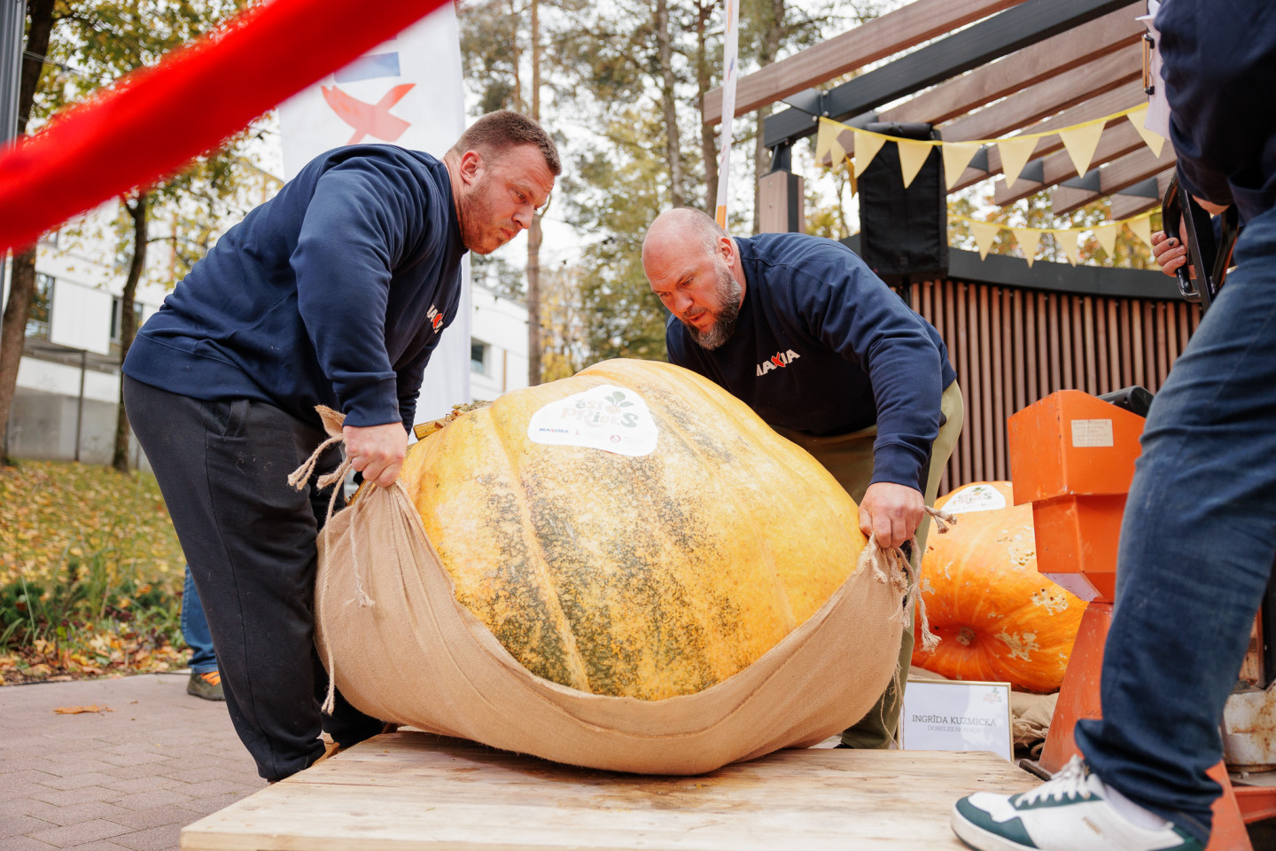 Noskaidrots 2026. gada ķirbju čempions – 355 kg smagais ķirbis no Jelgavas novada
