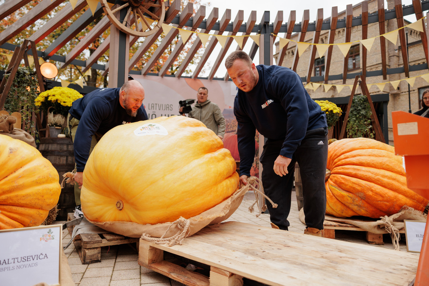 Noskaidrots 2026. gada ķirbju čempions – 355 kg smagais ķirbis no Jelgavas novada