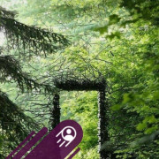 Baskāju Taka Tīnūžos